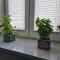 Apartament Sejmowa