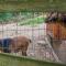 Charming Manheim Cottage with On-Site Animal Viewing