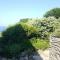 Panoramic villa on top of Capo Falcone