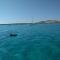 Panoramic villa on top of Capo Falcone - Stintino