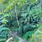Minca Sintropia - Sustainable Lodge & Organic Coffee Finca
