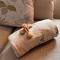 Luxury Guest Suite Dog Friendly - North Scarle