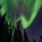 Riverside Log Cabin On-Site Aurora Viewing! - North Pole