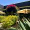 THE PALMS Luxury Boutique Hotel