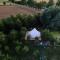 Hesselgaard Glamping