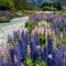 Foto: Glenorchy Peaks Bed and Breakfast 28/51