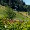 Appartements Coburg by Schladming-Appartements - Schladming