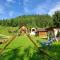 Cabana Ioana-Horea