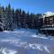 Charming Ski Apartment in Courchevel 1850 - 谷雪维尔