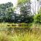 Snug & Secluded Lakeside Shepherds Hut 'Carp' - Uckfield