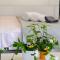 THEA cozy apartment