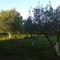 Family house