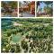Forest Lodge Camping Menina