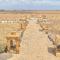 Amanya Star Bed Amboseli