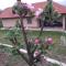 Etno House Jakic