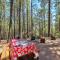 Tranquil Forest Lakes Retreat Yard, Deck and Gazebo - Forest Lakes Estates