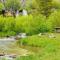 Secluded Mountain Getaway in Wyoming Range! - Kemmerer