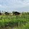 Glamping Tent in Friesland by Nature Reserve Glamping Tent in Friesland by Nature Reserve
