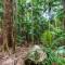 Chambers Wildlife Rainforest Lodges - Lake Eacham