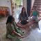 Rudram Hotel Yoga & Ayurveda Retreat