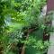 Rudram Hotel Yoga & Ayurveda Retreat
