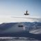 Club Hotel rooms only - by Mountain Hotels