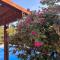 Villa Hedonic