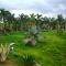 Rajwada Farm Stay