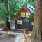 Bellingham A-Frame - Hot tub & Firepit - Bellingham