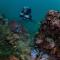 Divanga Hostel and Diving