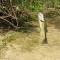 Cabin 2 - steps from the river! - 亨茨维尔