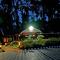 Jungle Greens Homestay - Water Activities, 150Y Estate, Home Food