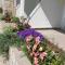 Apartman i sobe Martina