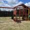 Pool, Patio and Yard Chic South Texas Home