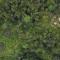 Villa Themma Jungle - Sumptuous 3BR Luxury Villa with Majestic Jungle View North of Ubud