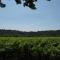 Pretty modern holiday home with pool and views of the vineyards, Domazan - Domazan