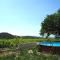 Pretty modern holiday home with pool and views of the vineyards, Domazan - Domazan