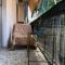 Spacious Double room in the Center of Athens - Atény