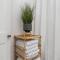 The Bird Cage
