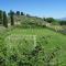 Villa Del Colle - Happy Rentals - Torgiano