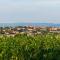 Villa Del Colle - Happy Rentals - Torgiano