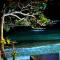 Paradise Island - 伊莎贝拉