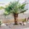 Apartments Lavanda Vodice