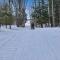 679 Disciples Village Unit - Boyne Falls