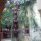 Riad Marlinea