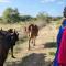 leruk Maasai safari camp - Sekenani