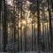 Wildlife camp In a Nordic tipi - Olofstorp