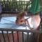 Plus Hostel Ayutthaya - Phra Nakhon Si Ayutthaya