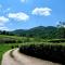 Tuscan home in the heart of Chianti