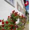 Chalet Cuore delle Alpi
